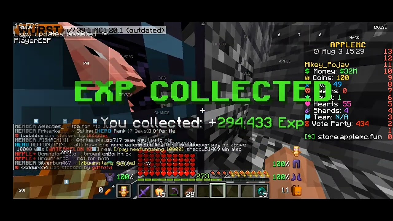 Popular Lifesteal Applemc🍎 Server ip play.applemc.fun