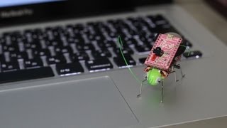 GR-KURUMIで作った昆虫