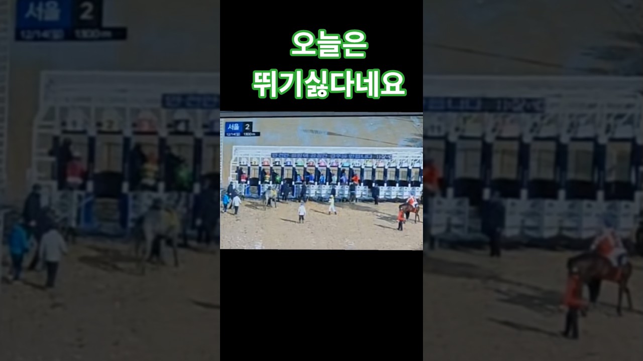 살살 달래서 드가자#경마 #말 #달려라말 #shrots #horse
