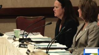 DSC - Delta Plan Interagency Implementation Committee - April 9, 2014 - Agenda Item 3 Index 1