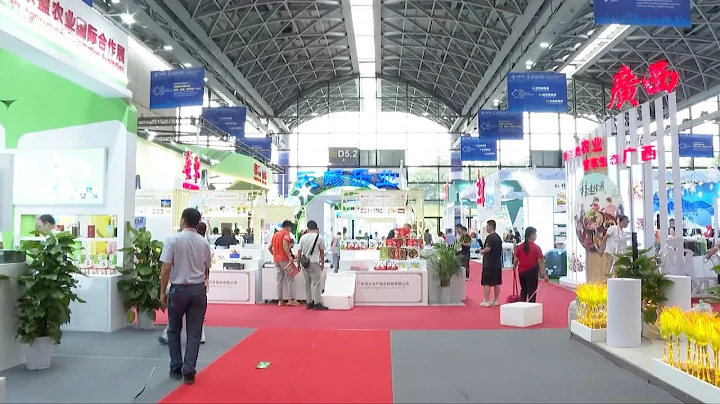 Nearly 2,000 companies attend 20th China-ASEAN Expo - DayDayNews