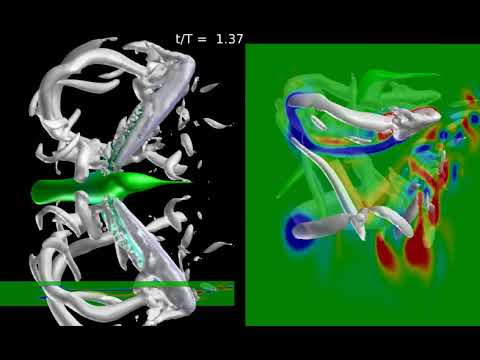 Hovering hummingbird model CFD result vortex visualization - YouTube