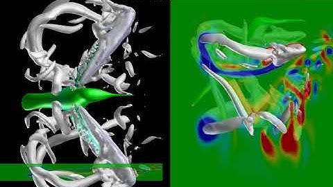 Hovering hummingbird model CFD result vortex visualization