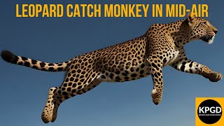 Leopard Catch Monkey in MID-AIR! Kruger National Park