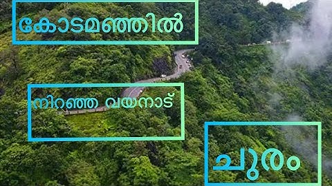 ചുരത്തിലെ കോടയിലൂടെ ഉള്ള ഒരു യാത്രയിൽ നിന്ന് 😍