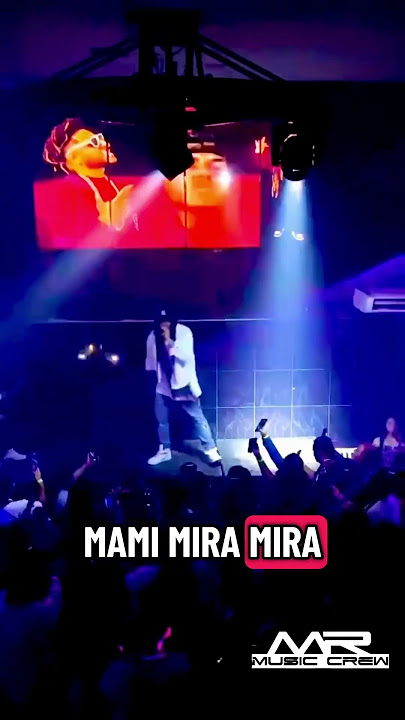 Muévete Más Lento - Mr. Wilson
