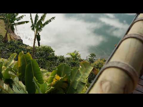 Sony A7 IV Cinematic (+ Kit Lens) – NO LUTs