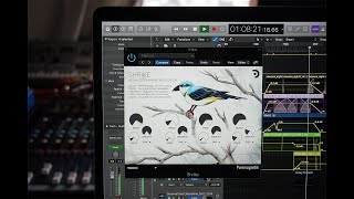 Shrike | Advanced Shimmer Modulator