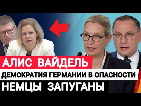 Алис Вайдель демократия Германии под угрозой  Немцы запуганы  Преследование AfD