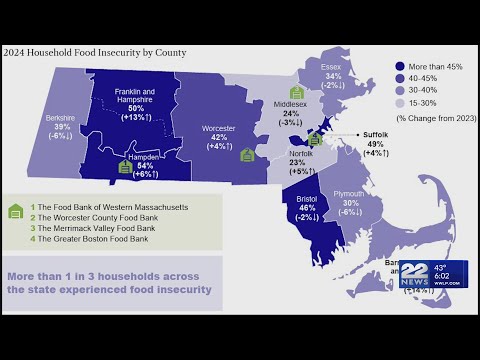 Report Rising costs help push food insecurity rate higher