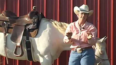 Effecting your saddle's fit with a CSI Saddlepad, ...