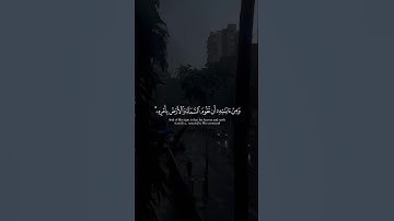 ياسر الدوسري ( سورة الروم ) #ياسر_الدوسري #قرآن #fyp