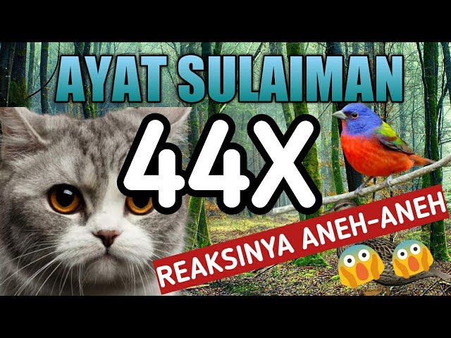 AYAT SULAIMAN INNAHU MIN SULAIMANA | AYAT SULAIMAN UNTUK HEWAN class=