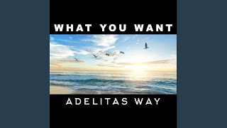 Video thumbnail of "Adelitas Way - What You Want"