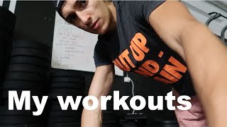 Daniel Flefil Working On 540 Freestyle - Street Workout