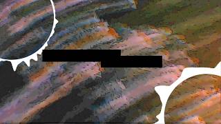 初音ミク/通行人K 【オリジナル曲】