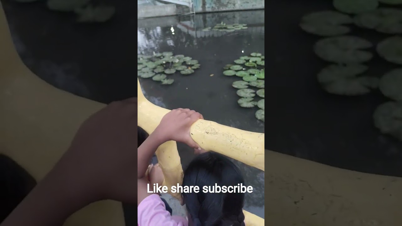 Maanvir SARAS BAUG fun