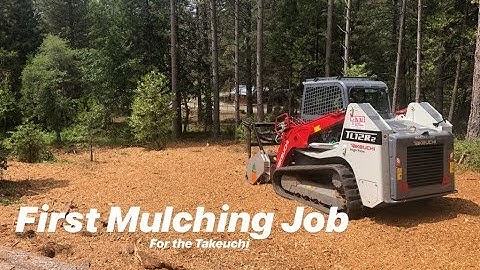 Forestry Mulching with a Skid Steer! TAKEUCHI TL12R2 W/ FAE MULCHER HEAD