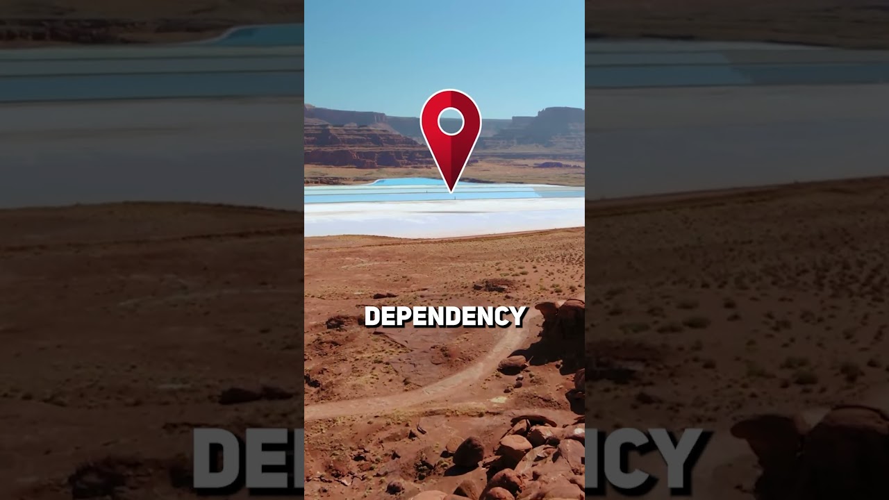 The solution to the worlds food crisis!