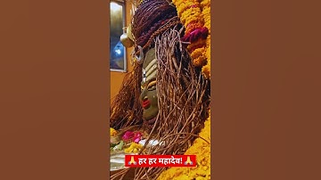 जयकारा महाकाल का🌿💫 Mahakal status 💫💙 Mahadev status ♥️💫 Bholenath Status 💫💜 #tending #shiv #shorts