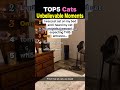 TOP5 Cats Unbelievable Moments