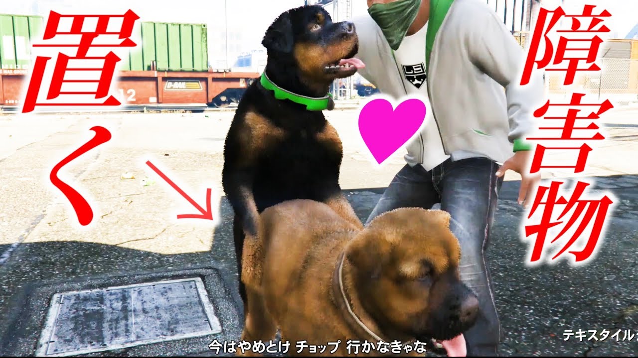 ｇｔａ５ 犬の交尾シーンを障害物で邪魔したら グラセフ５ 検証 実況 Youtube