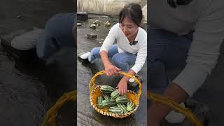 Agriculture Village Fresh Fruit #Viral #Fruit #Shorts #1102