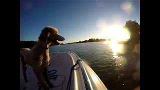 York River Boat Ride Time Lapse by Bob Hinson 133 views 5 years ago 1 minute, 43 seconds