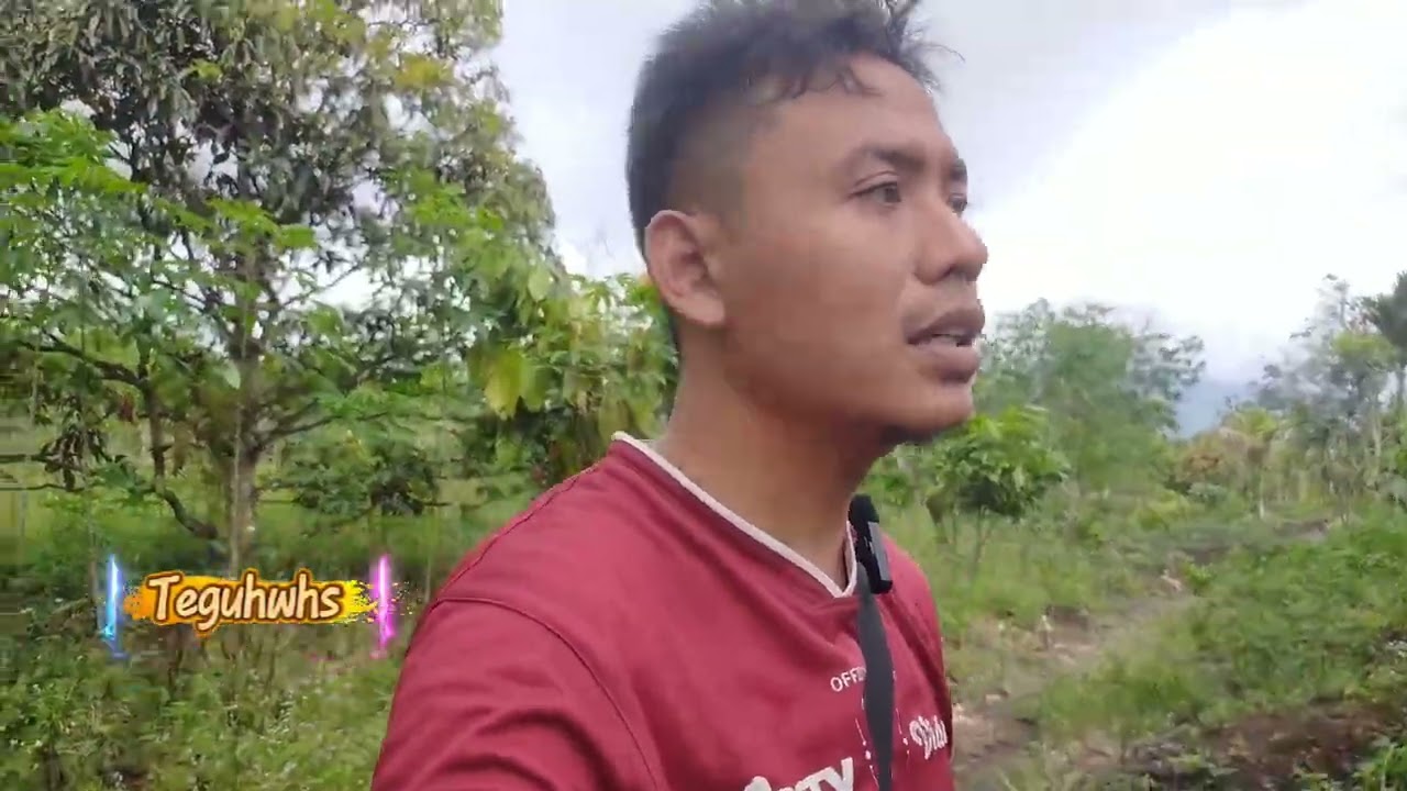 Ngabuburit lihat kebun alpukat 