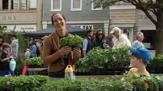 Westminster Downtown Flower And Jazz Festival--Grant Recipient For May,, 2024