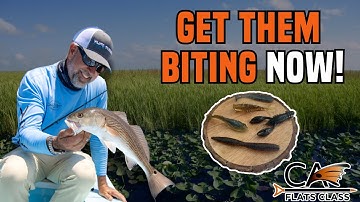 Everything You Need to Know About Ned Rigs by Z-Man! | Flats Class YouTube