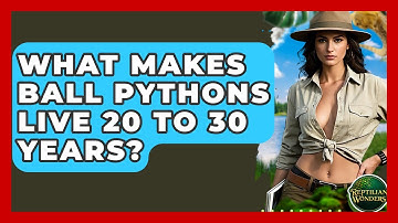 What Makes Ball Pythons Live 20 To 30 Years? - Reptilian Wonders