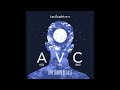 2- AVC (Artiste Vivant Cabossé) - Live Zénith de Lille