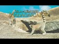 Isla de Lémures Madagascar 3D