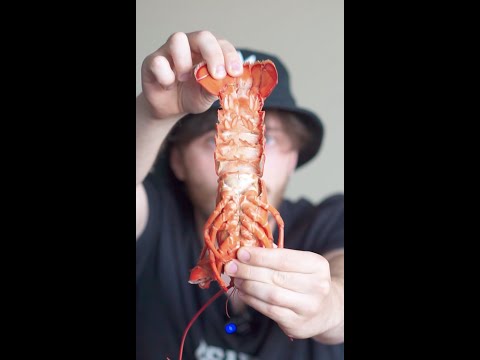 How to eat lobster.