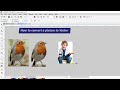 How to convert a picture to Vector in CorelDraw