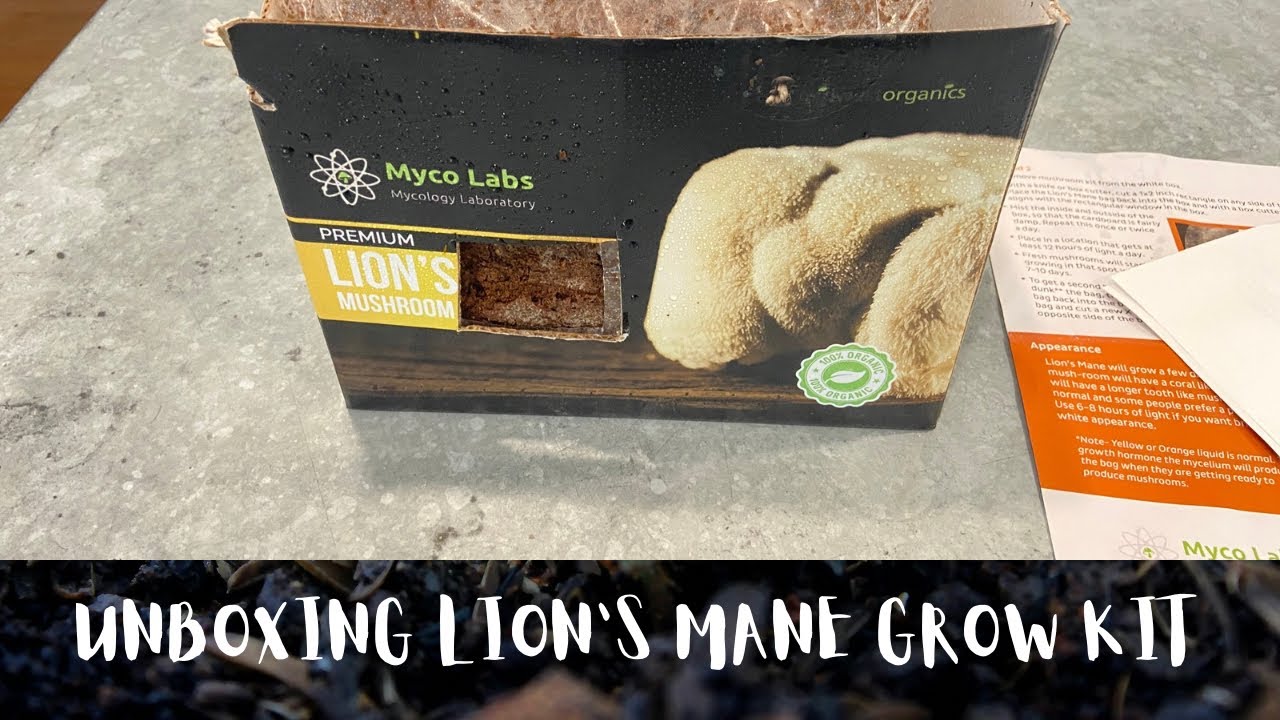 Unboxing Myco Labs Lion’s Mane Mushroom Grow Kit