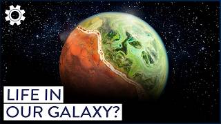 HOW SCIENTISTS LOOK FOR LIFE IN OUR SOLAR SYSTEM AND BEYOND