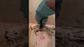 Una clienta nos canceló la limpieza profunda cuando ya estamos en su casa.