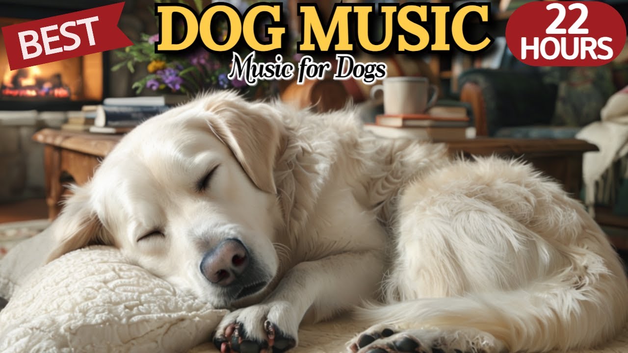 20 HOURS of Dog Calming Music💖🐶💖🐶Soothing Dog Sleep Tones🐶Anxiety Reduction Music💖⭐HealingMate 20 HOURS of Dog Calming Music💖🐶💖🐶Soothing Dog Sleep Tones🐶Anxiety Reduction Music💖⭐HealingMate