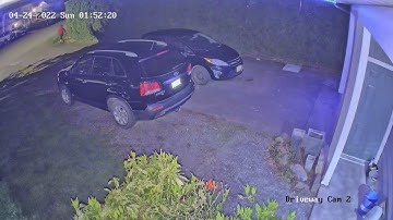 DIY Home Security vs Night Crawler 2022-04-24