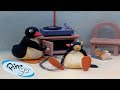 Best episodes from season 1  pingu  official channel  cartoons for kids