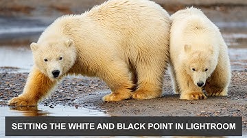 Setting the White and Black Point in Lightroom