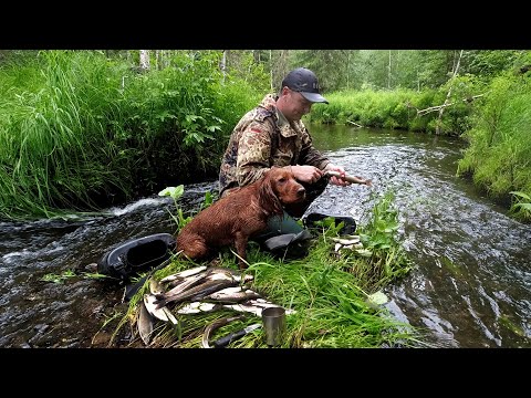 видео: Рыбалка на Хариуса/Трофеи таежного ручья