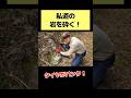 パンクの元凶の岩、砕く！