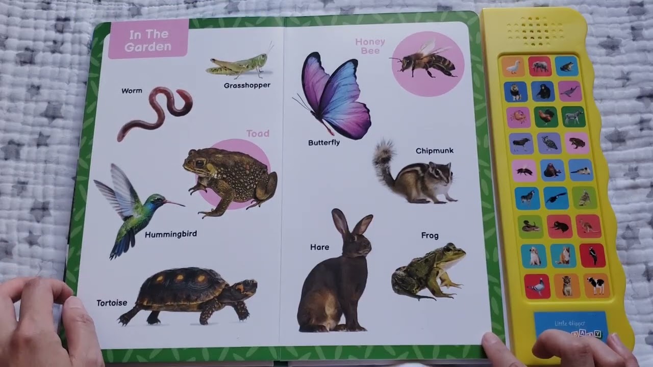 Happy Owl Book Showing | Listen and Learn Animals Sound Book