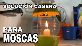 SOLUCIÓN CASERA PARA ESPANTAR LAS MOSCAS 🪰🪰🪰 Y DEJAR UN AROMA AGRADABLE.