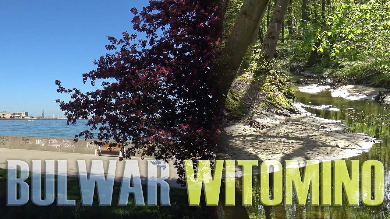 Gdynia Bulwar Morze | Dwa Dni | Witomino | Kacze Łęgi | Maj 2024