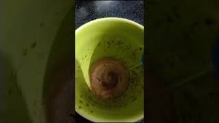 #ytshorts #shorts #coffee #frothycoffee #nescafe