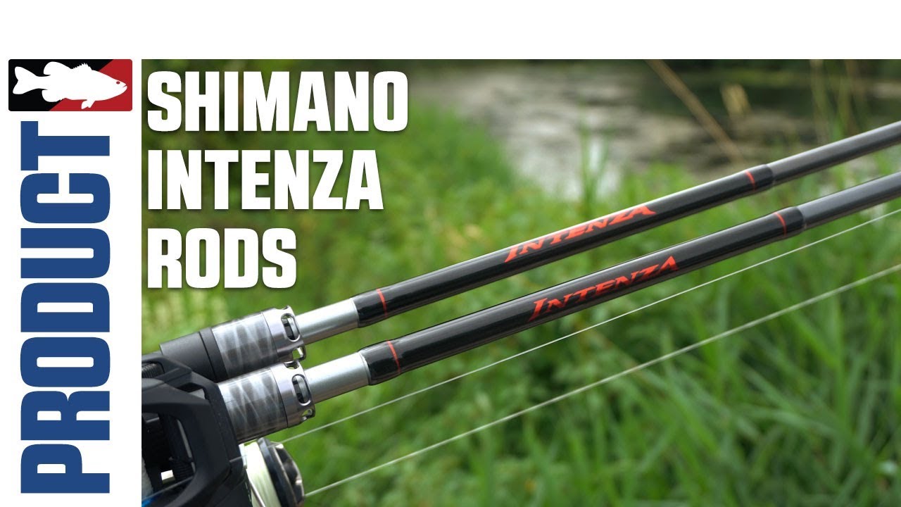 Shimano Intenza Rod Product Video with Luke Clausen and Trey Epich
